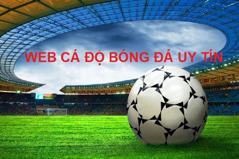 Top các trang cá độ bóng đá uy tín bật nhất?