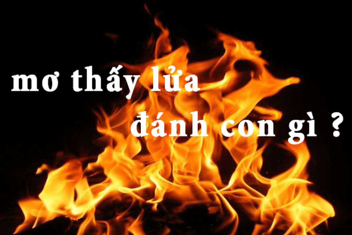 Giấc mơ thấy lửa đánh con gì?