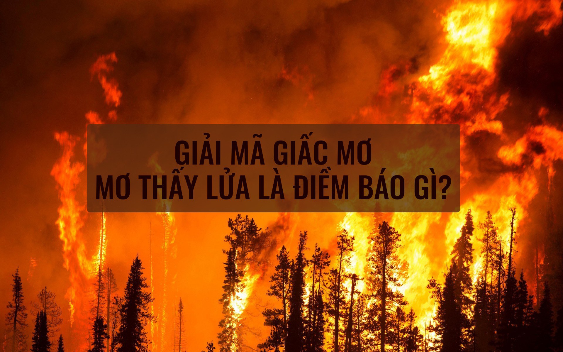 Nằm mơ thấy lửa là điềm báo mang ý nghĩa gì?